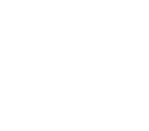 Store Technology